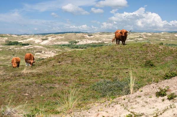 Strandhotel de Vassy