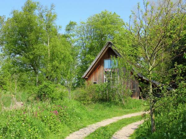 Fairytale cottage nestled between forest and village within cycling distance of Bergen aan Zee