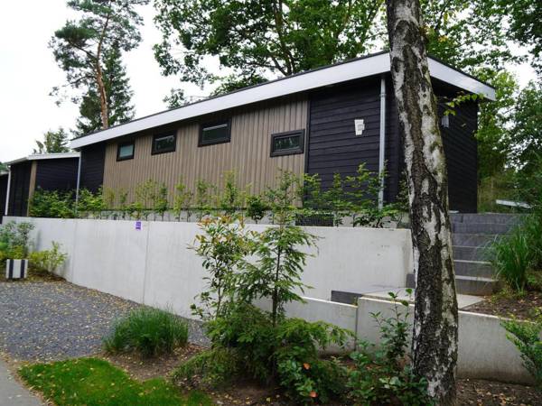 Luxury chalet with fireplace near the Veluwe