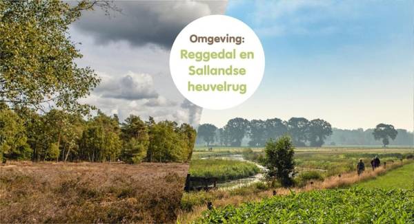 Panorama Lodge met privé sanitair - en weids uitzicht