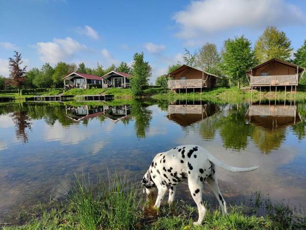 Beautiful home with a veranda and jetty located near a pond