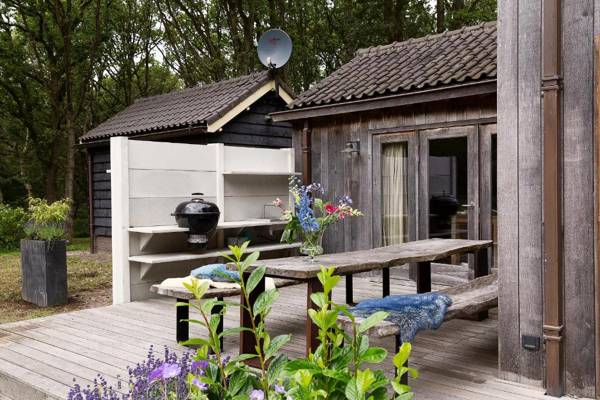 Bosvilla Kennemerduinen