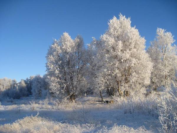 Unicare Røros Gjesteovernatting