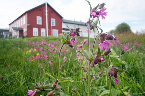 Kjølen Hotel Trysil