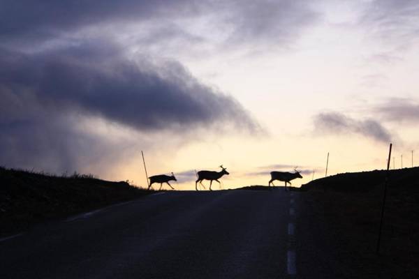 Adventure Camp Mehamn