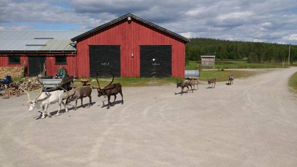 Vestre Sorken Feriegard