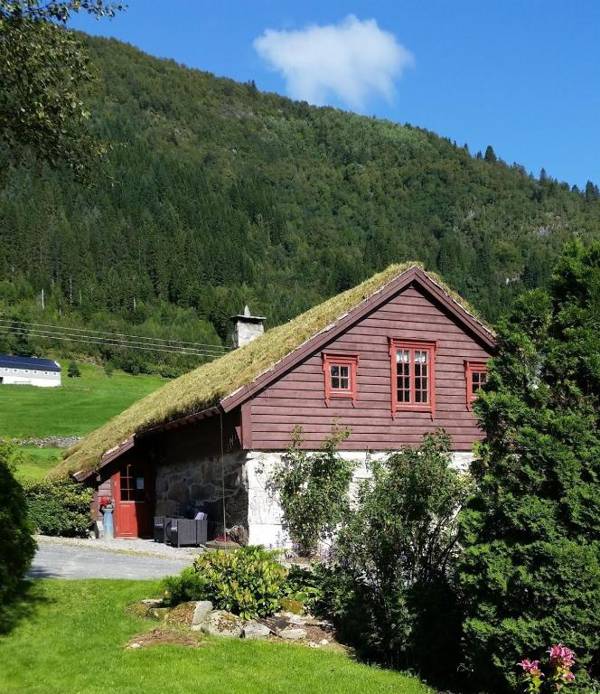 Orheimstunet - Gårdsferie for storfamilien der også hunden er velkommen