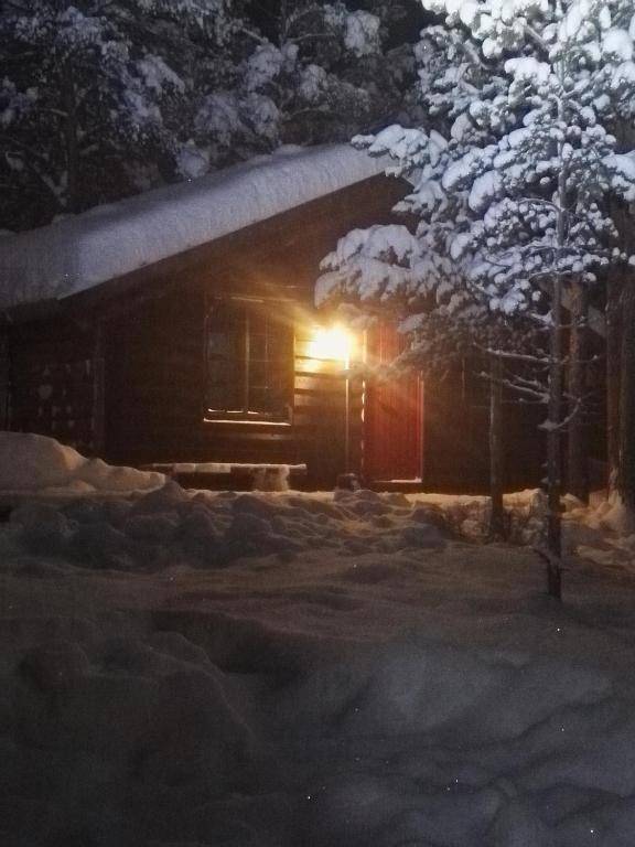 Sjodalen Hyttetun og Camping