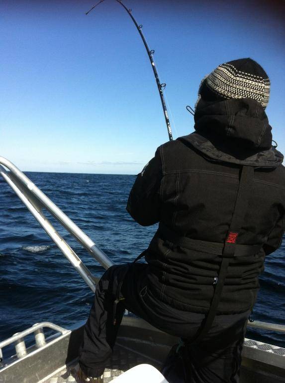 Sula Rorbuer og Havhotell