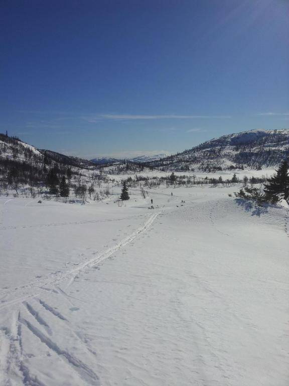 Telemark Inn - Hytte