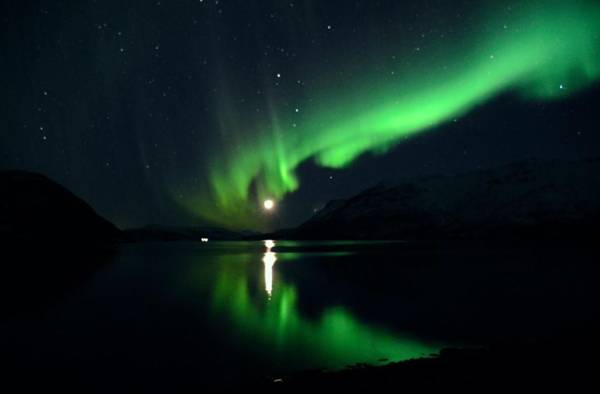 Arctic FjordCamp