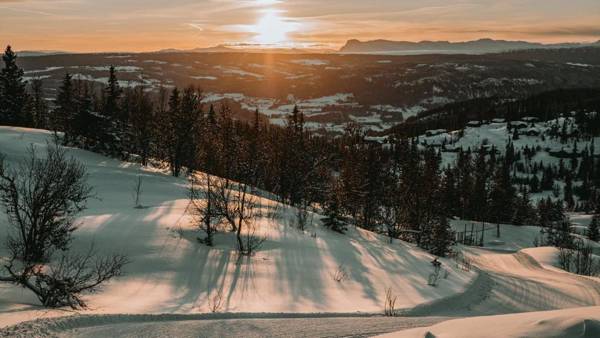 Danebu Kongsgaard - Boutique Hotel