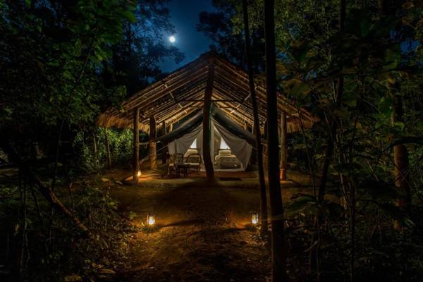 Tiger Tops Tharu Lodge