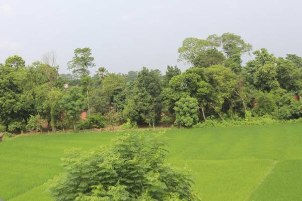 Tiger Corner Inn home stay