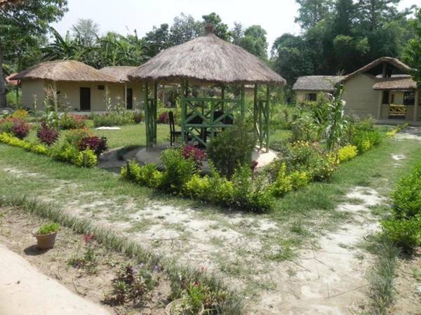 Racyshade Resort- Bardia National Park