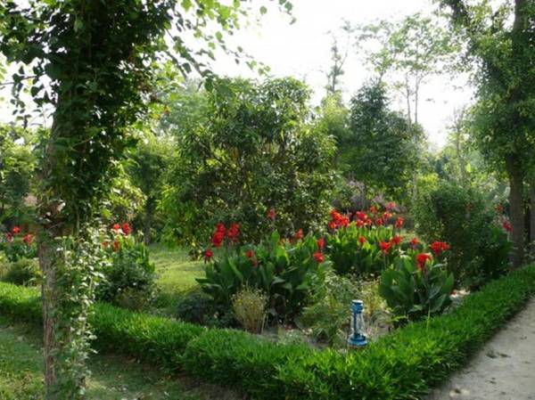 Racyshade Resort- Bardia National Park