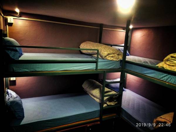 Big Tree Hostel