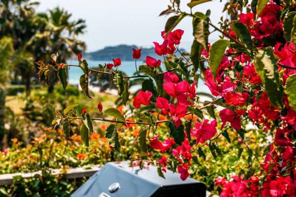 Sunshine Cottage by the Sea