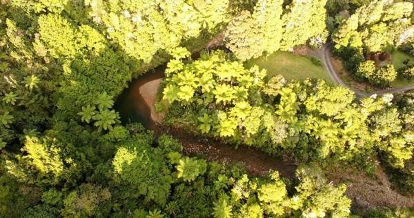 Wairua Lodge - Rainforest River Retreat