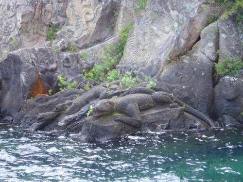 Bellevue Boutique Lodge