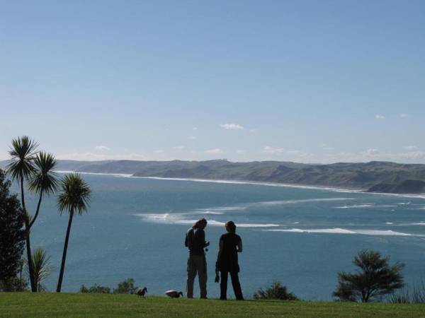 Longitude Apartments Raglan