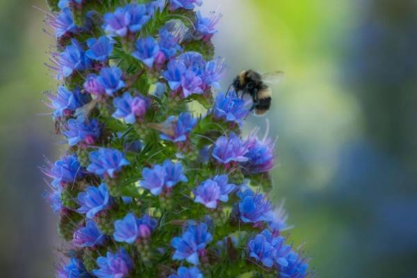 Tasman Village Cottage