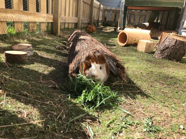 Tailor Made Tekapo Accommodation - Guesthouse & Hostel