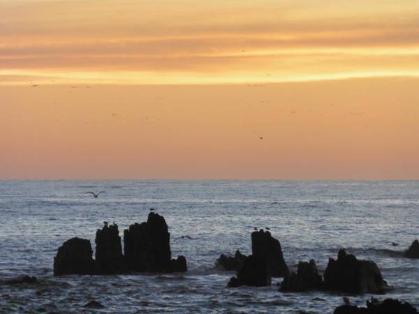 Admiral Court Motel Kaikoura