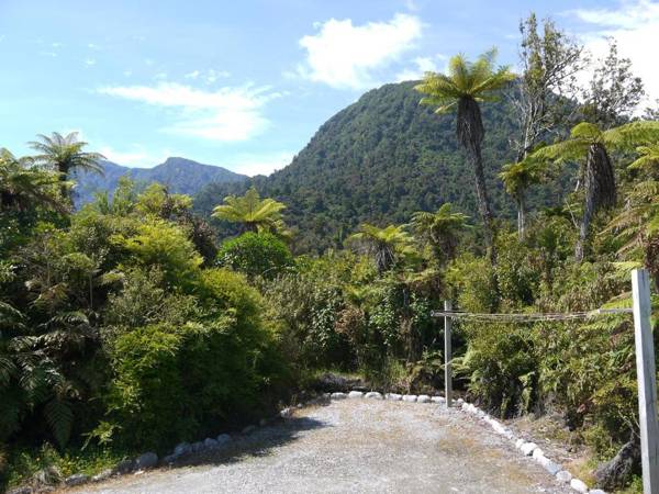 Franz Josef Treetops
