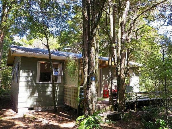 Kokopu Cabin - Pakawau Beach Bach