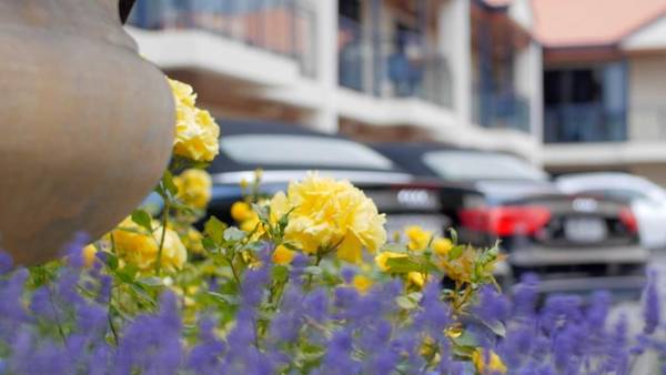 Randolph Motel Apartments