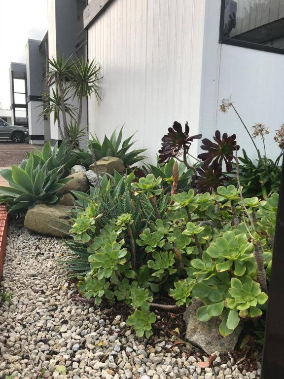 Waikanae Beach Motel