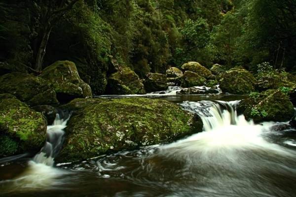 Cascade Creek Retreat