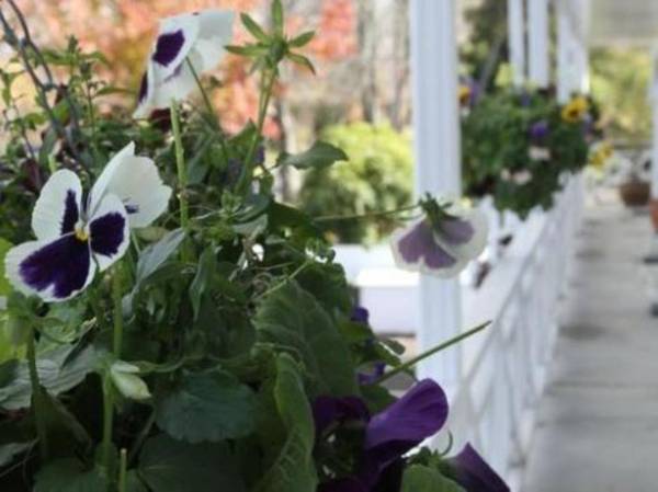 Ashleigh Court Motel