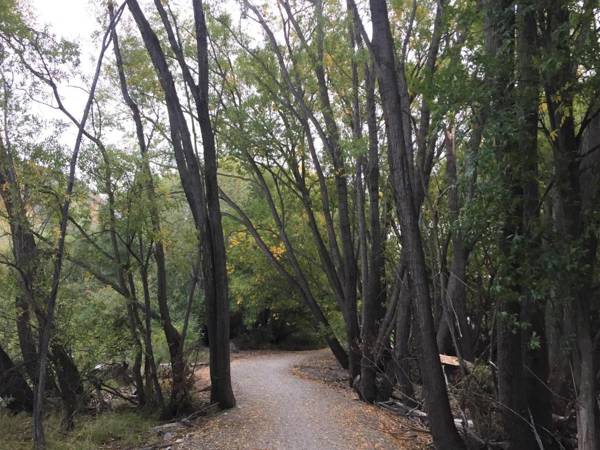 MyHolidays Shotover Delux Ensuite rooms