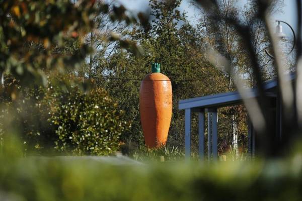 Rocky Mountain Chalets Ohakune