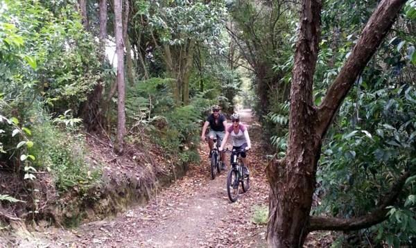 Cambridge Top 10 Holiday Park