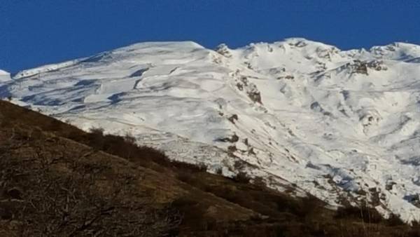 Cardrona Cottage