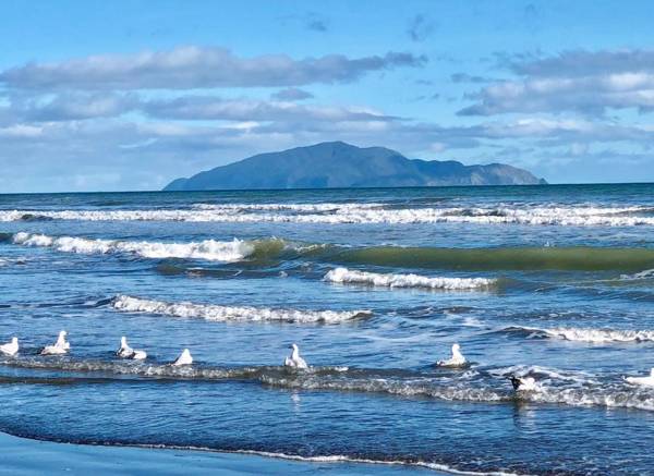 Otaki Beachfront Getaway