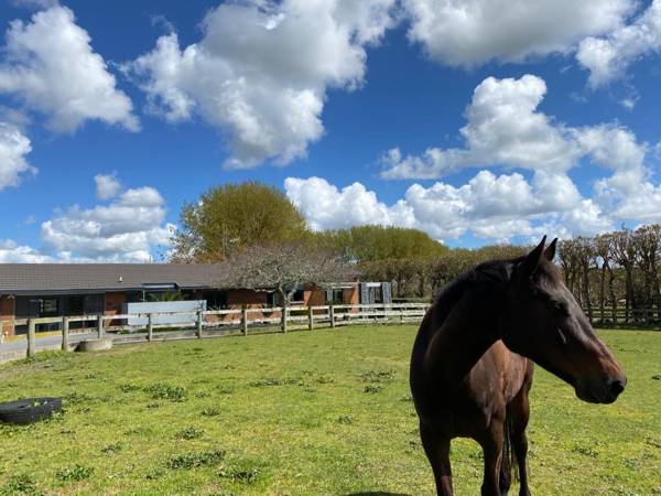 Unique Equestrian Lifestyle