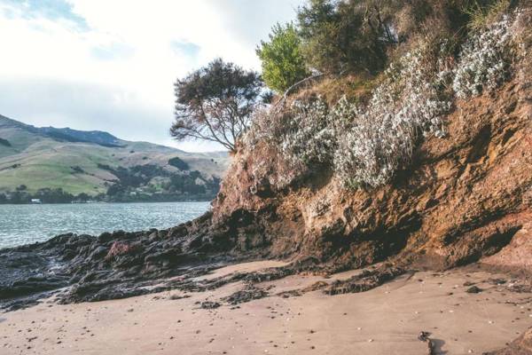 The Point - Pigeon Bay Accommodation