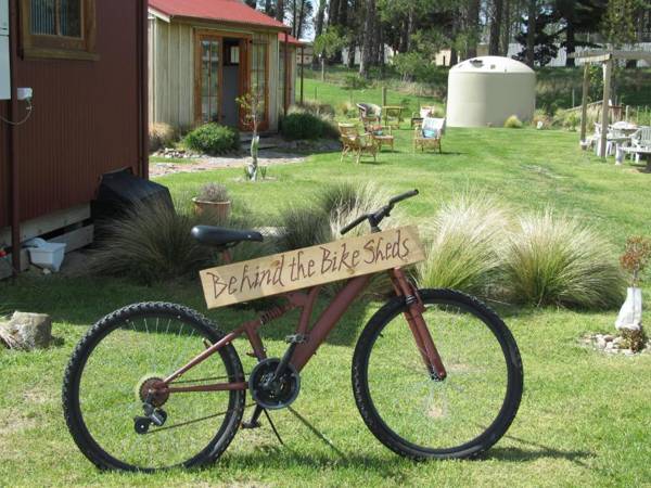 Behind the Bike Sheds