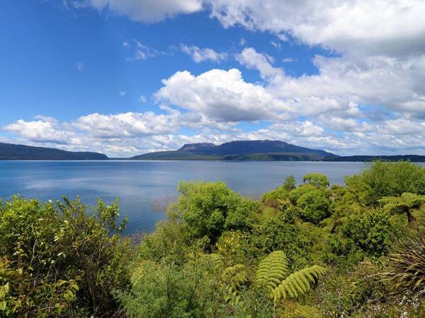 Mana Sarovar - Designer Lake Tarawera Holiday Home