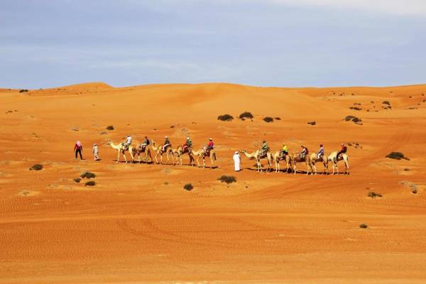 Arabian Oryx Camp