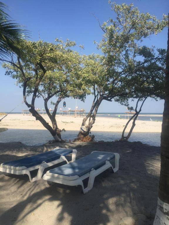 San Carlos Surf Resort & Eco Lodge