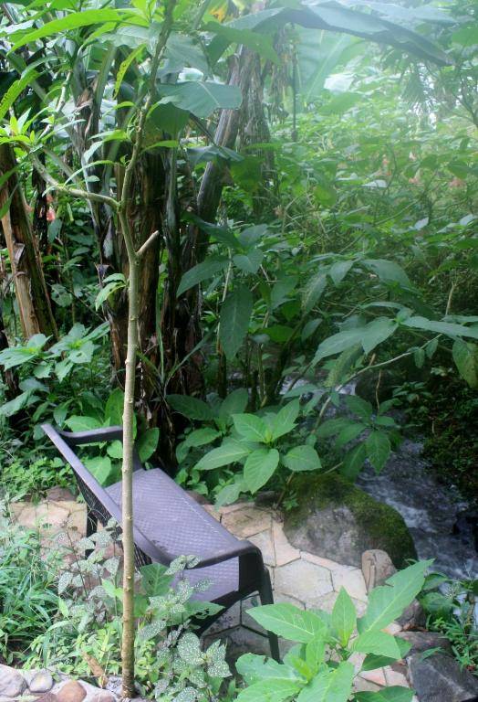 The Casita at The Boquete Hacienda