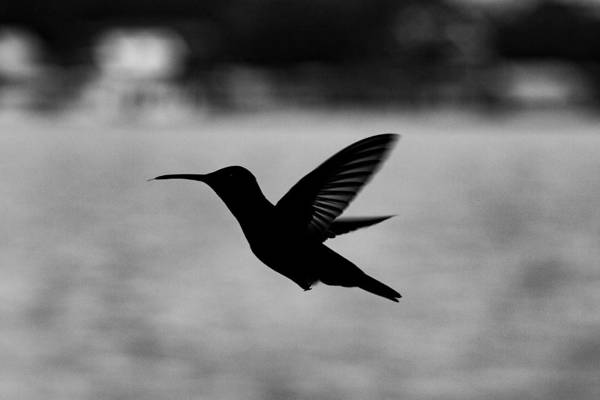 Barrbra BnB Over The Sea