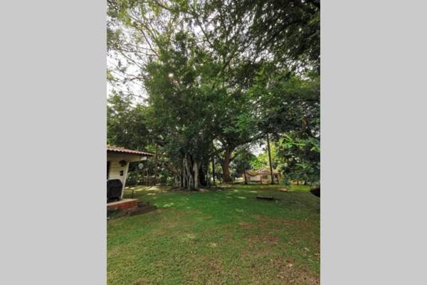 Gorgona Peaceful House