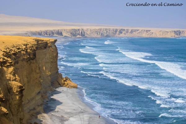 PiscoMar Peru