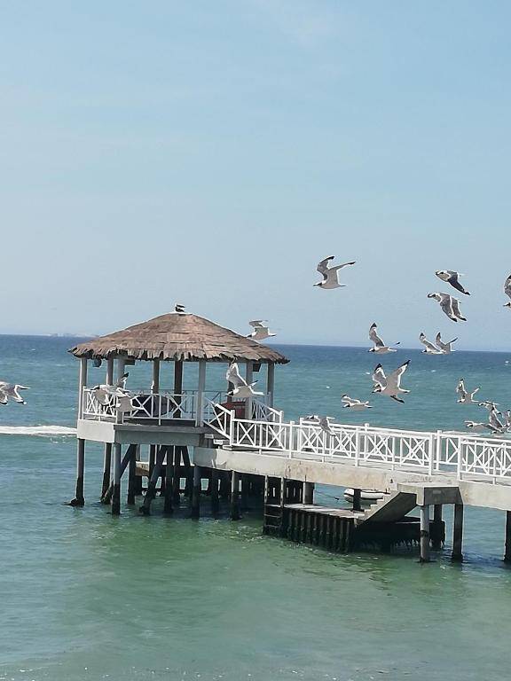Apartamento con vista a Islas Ballestas